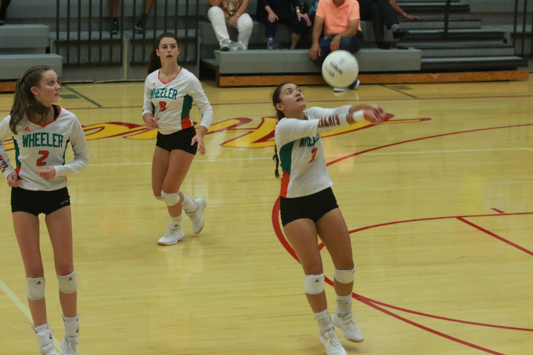 Gallery: Girls volleyball - Wheeler at Andrean